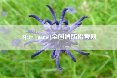 保山全国消防招考网