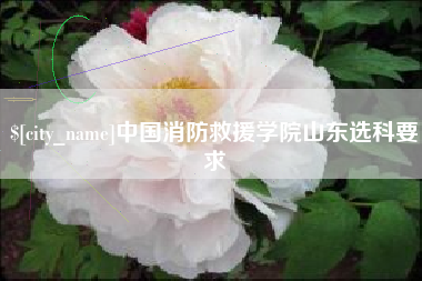 保山中国消防救援学院山东选科要求