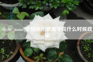 保山中国消防救援学院什么时候政审