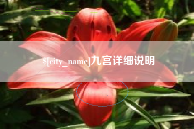 保山九宫详细说明