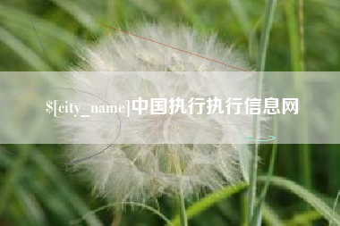保山中国执行执行信息网