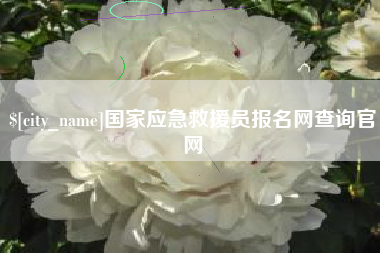 保山国家应急救援员报名网查询官网