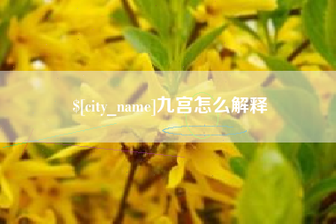 保山九宫怎么解释
