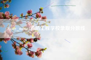 保山消防工程学校录取分数线