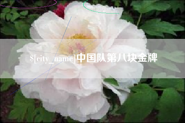 保山中国队第八块金牌