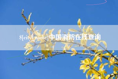保山中国消防在线查询