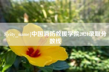 保山中国消防救援学院2021录取分数线
