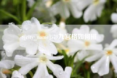 保山579九宫格如何排