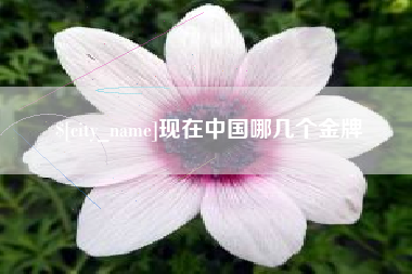 保山现在中国哪几个金牌