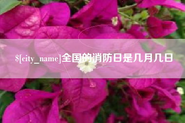 保山全国的消防日是几月几日