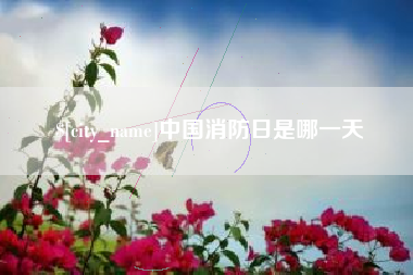 保山中国消防日是哪一天