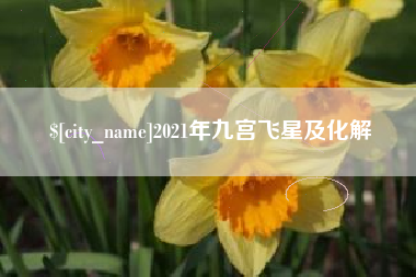 保山2021年九宫飞星及化解