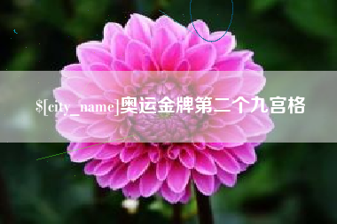 保山奥运金牌第二个九宫格