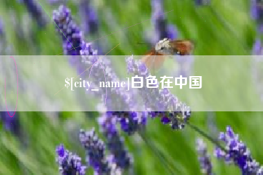 保山白色在中国