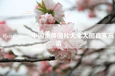 保山中国金牌图片大全大图真实高清
