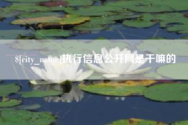 保山执行信息公开网是干嘛的