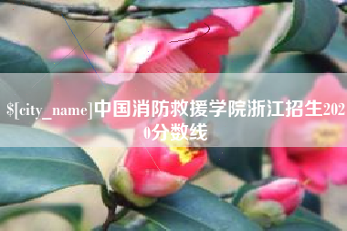 保山中国消防救援学院浙江招生2020分数线