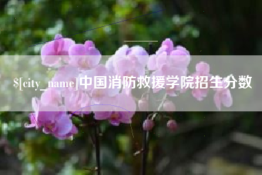 保山中国消防救援学院招生分数