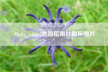 保山地图指南针图标图片