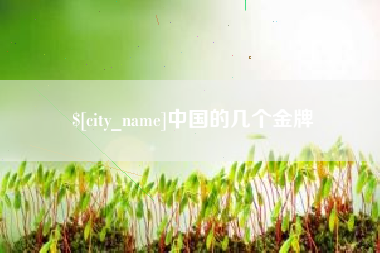 保山中国的几个金牌