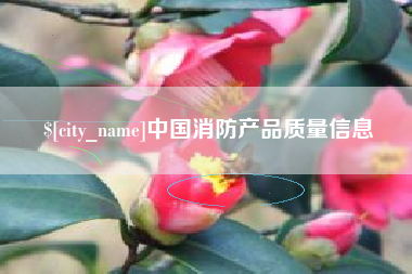 保山中国消防产品质量信息