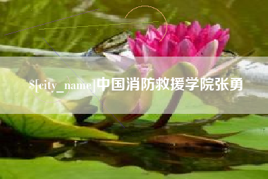保山中国消防救援学院张勇
