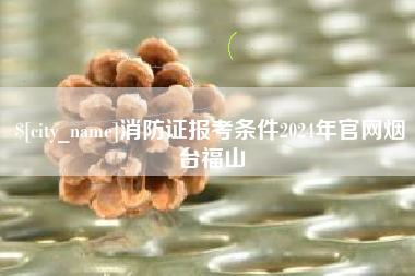 保山消防证报考条件2024年官网烟台福山