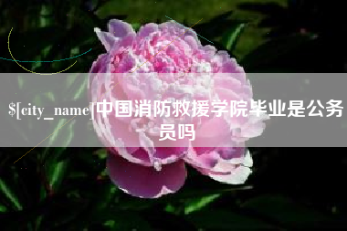 保山中国消防救援学院毕业是公务员吗
