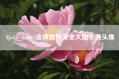保山金牌图片大全大图卡通头像