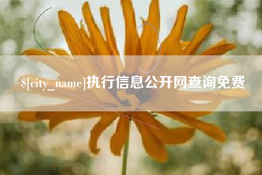 保山执行信息公开网查询免费