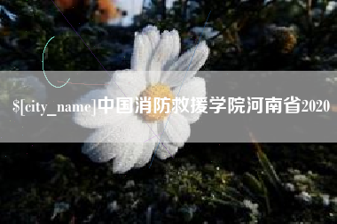 保山中国消防救援学院河南省2020